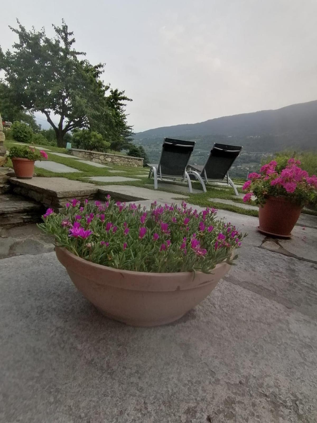 Mini House Valle D'Aosta Roisan ภายนอก รูปภาพ