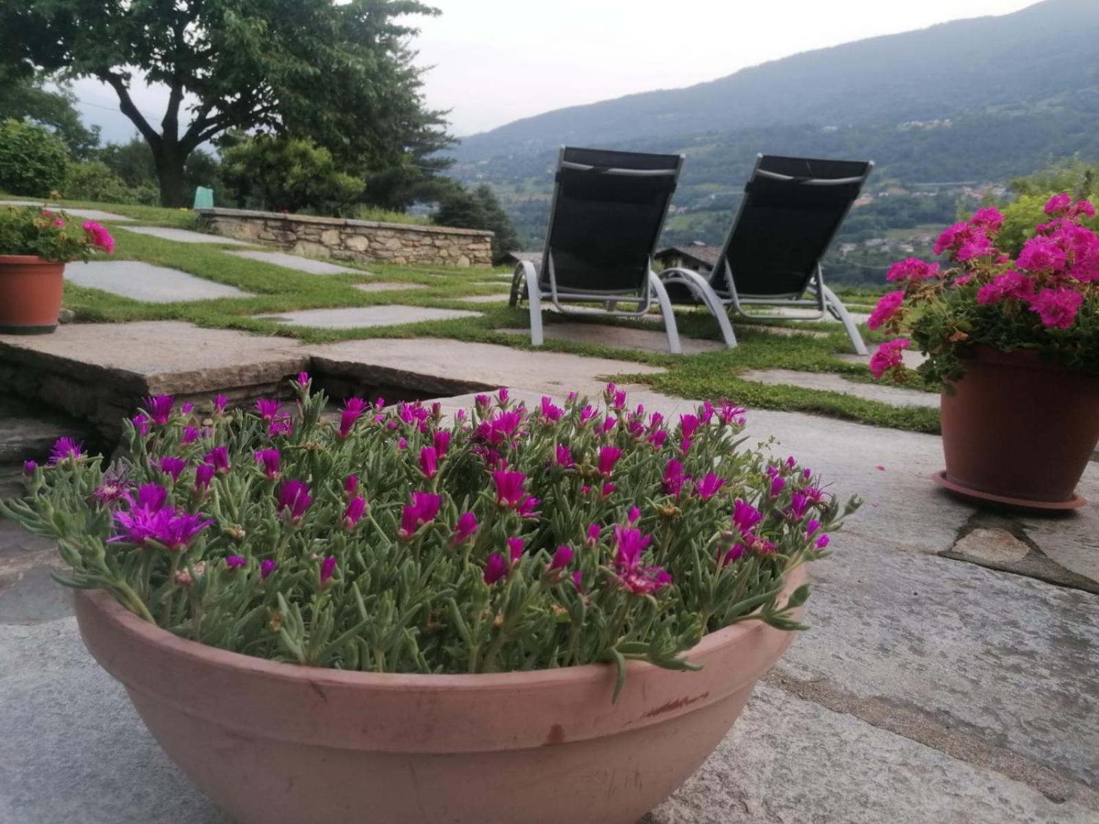 Mini House Valle D'Aosta Roisan ภายนอก รูปภาพ